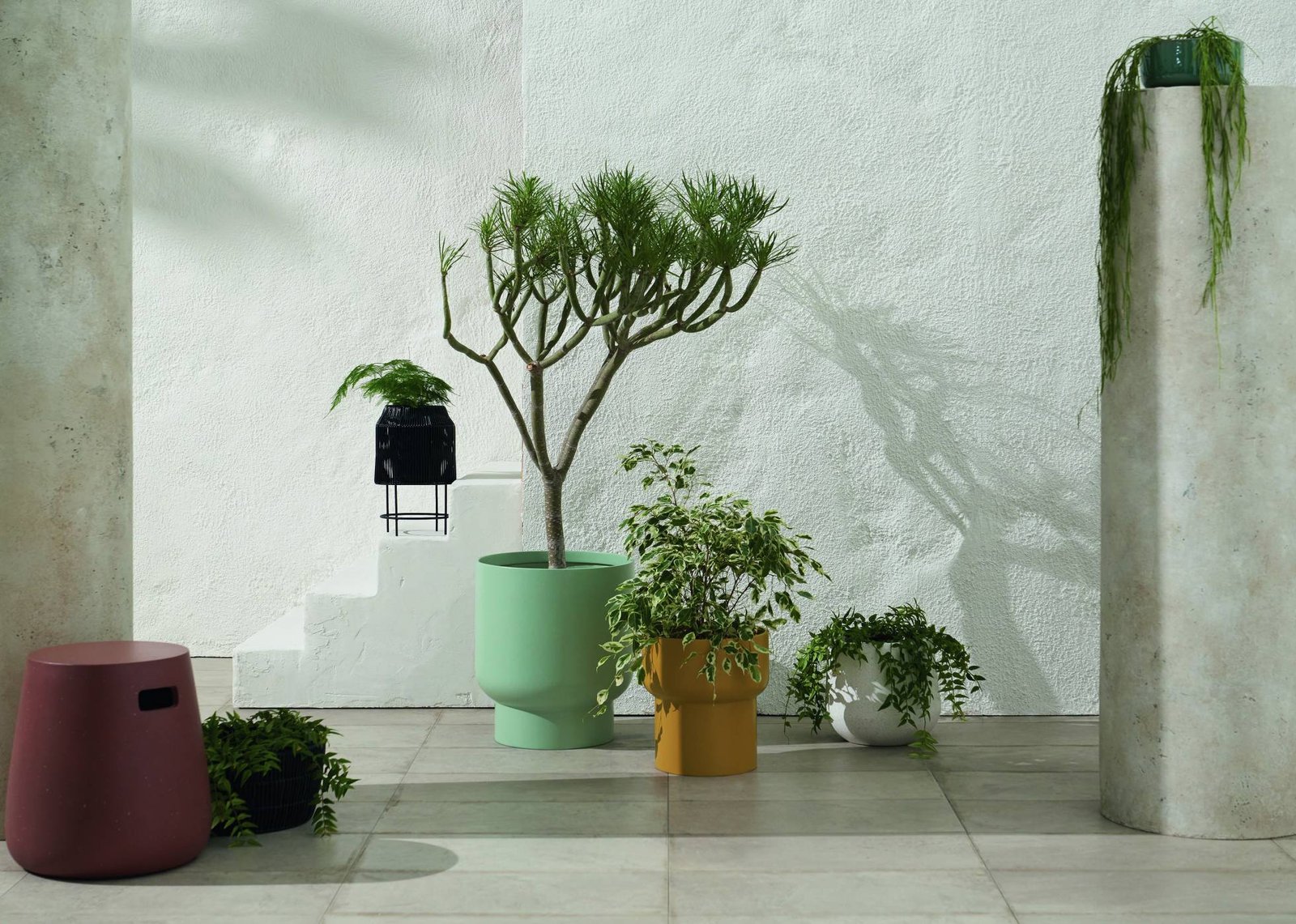 Modern decorative planters with indoor trees and trailing plants
