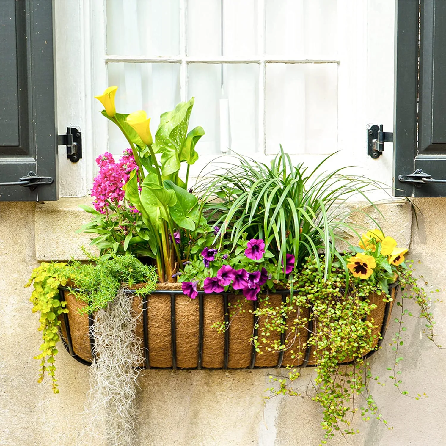 Coconut fiber window planter filled with flowering plants